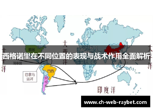 西格诺里在不同位置的表现与战术作用全面解析 西格诺里在不同位置的表现与战术作用全面解析
